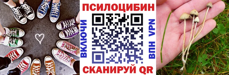 Купить  Абинск  Галлюциногенные грибы Cubensis 